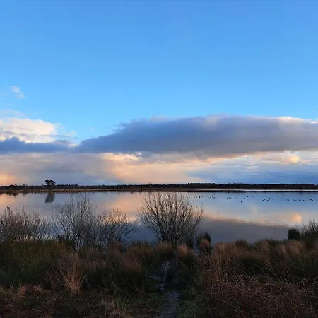 シャレー Nieuw! Sfeervolle, Ruime Met Grote Tuin Nabij Hilvarenbeek Diessen