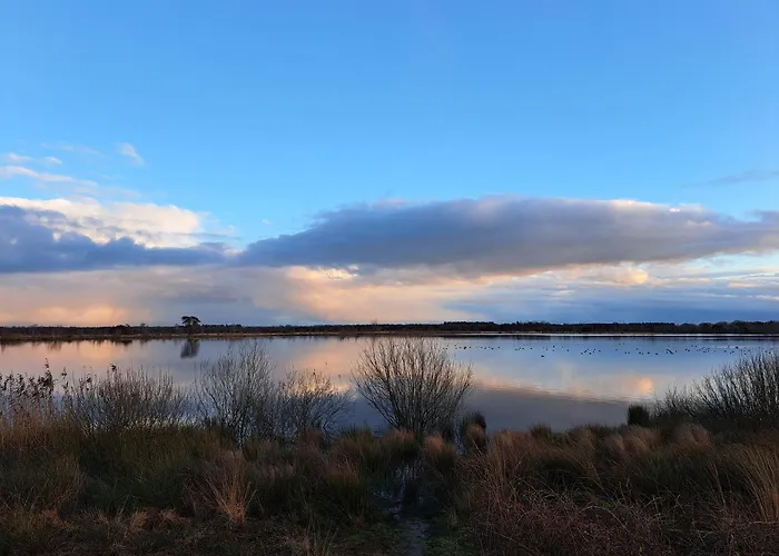 Σαλέ Nieuw! Sfeervolle, Ruime Met Grote Tuin Nabij Hilvarenbeek Diessen