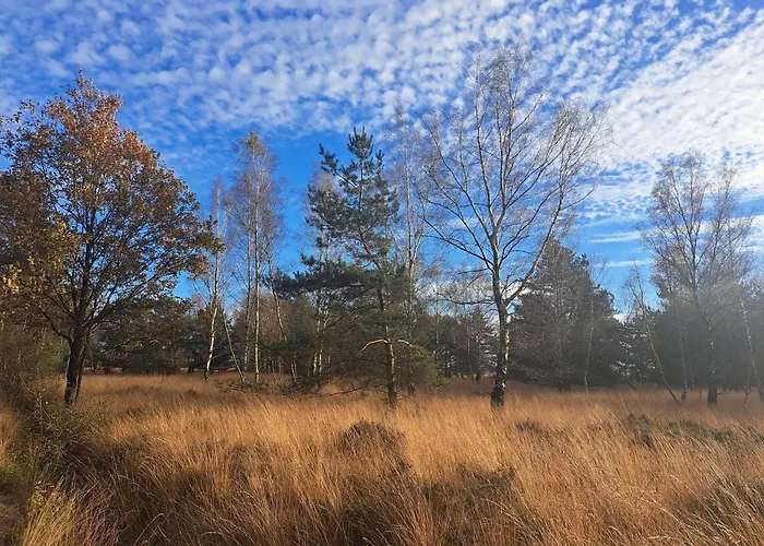 Nieuw! Sfeervolle, Ruime Met Grote Tuin Nabij Hilvarenbeek *