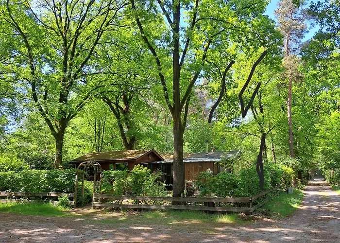 Nieuw! Sfeervolle, Ruime Met Grote Tuin Nabij Hilvarenbeek Diessen