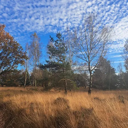 Sfeervolle, Ruime Met Grote Tuin Nabij Hilvarenbeek *