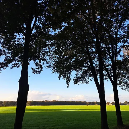 Sfeervolle, Ruime Met Grote Tuin Nabij Hilvarenbeek Diessen